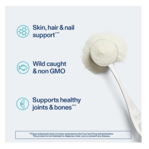 Vital Proteins Marine Collagen Peptides Powder Supplement for Skin Hair Nail Joint - Hydrolyzed Collagen - 12g per Serving - 14.5oz Canister - Image 3