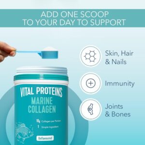 Vital Proteins Marine Collagen Unflavored - 22 servings - 221g (7.8 Oz) - Image 4