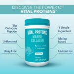 Vital Proteins Marine Collagen Unflavored - 22 servings - 221g (7.8 Oz) - Image 5