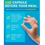 Zenwise Health Digestive Enzymes With Probiotics - Ultra Effective Plant Based Blend - The Best & Most Powerful Digestive Dietary Supplement For Men & Women - 180 Vegetarian Capsules - Image 4