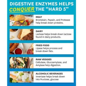 Zenwise Health Digestive Enzymes With Probiotics - Ultra Effective Plant Based Blend - The Best & Most Powerful Digestive Dietary Supplement For Men & Women - 180 Vegetarian Capsules - Image 3