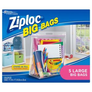 Ziploc Big Bags, Large, 5 Count - Image 1