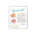 oogiebear Two Pack - Raspberry and Seafoam - Image 2