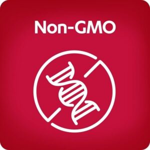 AZO Cranberry Urinary Tract Health Gummies Dietary Supplement, 2 Gummies = 1 Glass of Cranberry Juice, Helps Cleanse & Protect, Natural Berrylicious Flavor, Non-GMO, 72 Gummies - Image 6