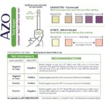 AZO Urinary Tract Infection (UTI) Test Strips, Accurate Results in 2 Minutes, FSA/HSA Eligible, Clinically Tested, Easy to Read Results, Clean Grip Handle, from The #1 Most Trusted Brand, 3 Count - Image 3