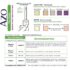 AZO Urinary Tract Infection (UTI) Test Strips, Accurate Results in 2 Minutes, FSA/HSA Eligible, Clinically Tested, Easy to Read Results, Clean Grip Handle, from The #1 Most Trusted Brand, 3 Count - Image 3