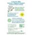 Culturelle Baby Probiotic Drops + Vitamin D, Immune & Digestive Health Support for Babies, Infants & Newborns 0-12 Months, 30 Day Supply, Gluten Free & Non-GMO, 9ml - Image 2