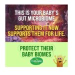 Culturelle Baby Probiotic Drops + Vitamin D, Immune & Digestive Health Support for Babies, Infants & Newborns 0-12 Months, 30 Day Supply, Gluten Free & Non-GMO, 9ml - Image 5