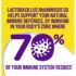 Culturelle Digestive Daily Probiotic Capsules - Image 3