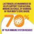 Culturelle Digestive Health Daily Probiotic Chewables, Probiotic For Men and Women, Most Clinically Studied Probiotic Strain, 10 Billion CFUs, Supports Occasional Diarrhea, Gas & Bloating, 24 Count - Image 5