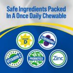 Culturelle Immune Defense Daily Probiotic for Women & Men - 28 Count, Mixed Berry Chewables with 4-in-1 Immune Support. Probiotic Vitamin C, Vitamin D, and Zinc Plus Elderberry - Image 3