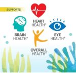 OVEGA-3 Vegan Algae Omega-3 Daily Supplement | Supports Heart, Brain & Eye Health*| No Fishy Aftertaste | 500 mg Omega-3s | 135 mg EPA + 270 mg DHA | Fish Oil Alternative | Vegetarian Softgels 90 CT - Image 3