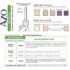 AZO UTI Pain Relief Bundle UTI Test Strips 3ct, Urinary Pain Relief Max Strength 24ct, Cranberry Pro Supplement 100ct - Image 3