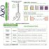 AZO Urinary Pain Relief Maximum Strength (24 Count) Urinary Tract Infection Urinary Tract Infection (UTI) Test Strips, Accurate Results in 2 Minutes, 3 Count - Image 4
