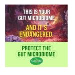 Culturelle Health & Wellness Daily Probiotic Supplement For Men & Women, Helps Support Your Immune System, Occasional Diarrhea, Gas & Bloating, 15 Billion CFUs, Non-GMO, 50 Count - Image 6