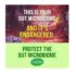 Culturelle Health & Wellness Daily Probiotic Supplement For Men & Women, Helps Support Your Immune System, Occasional Diarrhea, Gas & Bloating, 15 Billion CFUs, Non-GMO, 50 Count - Image 6