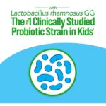 Culturelle Kids Probiotic + Complete Multivitamin Chewable For Kids, Ages 3+, 30 Count, Digestive Health, Oral Health & Immune Support - With 11 Vitamins & Minerals, including Vitamin C, D3 & Zinc - Image 2