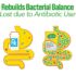 Culturelle Probiotics Ultimate Balance Probiotic for Antibiotics Ages 3+,20 Count,Orange,Probiotic for Kids Helps Restore Good Bacteria Lost During Antibiotic Use & Supports A Healthy Immune System - Image 2