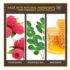 Burt's Bees 100% Natural Moisturizing Lipstick, Brimming Berry, 1 Tube - Image 3