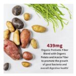 Garden of Life Probiotic Supplement for Urinary Tract Health - Dr. Formulated Urinary Tract+ for Digestive and Urinary Tract Support, Shelf Stable, 60 Capsules - Image 3