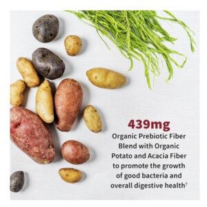 Garden of Life Probiotic Supplement for Urinary Tract Health - Dr. Formulated Urinary Tract+ for Digestive and Urinary Tract Support, Shelf Stable, 60 Capsules - Image 3