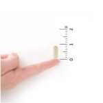 Garden of Life Probiotic and Urinary Tract Health Dr. Formulated Urinary Tract+ for Digestive and Urinary Tract Support, 60 Capsules - Image 4