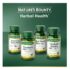 Nature's Bounty, Ginkgo Biloba, 60 mg, 200 Capsules - Image 4