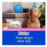 Ziploc Slider Storage Bags gallon, 4 Pack, 26 Ct (104 Total Bags)(Plastic, Transparent) - Image 5