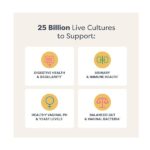 Renew Life Women's Flora Care Probiotic Supplement Vegetable Capsules, 30 CT - Image 3