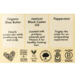 Shea Moisture Jamaican Black Castor Oil Strengthen And Restore Treatment Masque, 340 g - Image 6