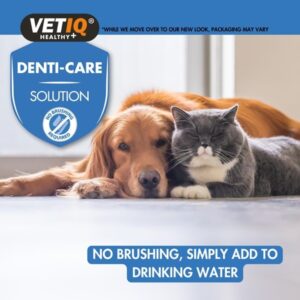 VETIQ Denti-Care Solution for Cats and Dogs, Dental Plaque Reducer, No Brushing Required, 250 ml - Image 5