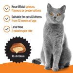 VETIQ Healthy Bites Hairball Relief Cat Treats, 65 g, Pack of 8, for Cats & Kittens 12+ Weeks - Image 4