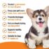 VetIQ Ear Cleaner, 100 Ml - Image 3
