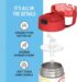 THERMOS FUNTAINER Water Bottle with Straw - 12 Ounce - Kids Stainless Steel Vacuum Insulated Water Bottle with Lid, Pokémon - Image 3