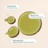 Cliganic USDA Organic Tamanu Oil, 100% Pure - For Face, Hair & Skin | Natural Cold Pressed Unrefined Hexane-Free - Image 2
